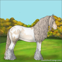 Horse Color:Chocolate Palomino Pearl Dun Tobiano Appaloosa Rabicano 