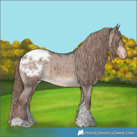 Horse Color:Liver Red Dun Tobiano Appaloosa Rabicano Brindle 