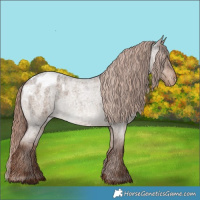 Horse Color:Liver Red Dun Roan Appaloosa Rabicano Brindle 