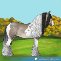 Horse Color:Brown Dun Tobiano Rabicano 