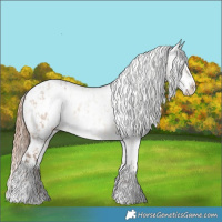 Horse Color:White Spotted Sable Champagne Dun Appaloosa  and White Spotted Gold Champagne Onyx Appaloosa 