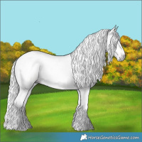 Horse Color:Gray Gold Champagne Dun Sabino Appaloosa 
