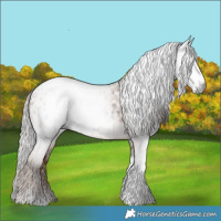 Horse Color:Gray Liver Chestnut Tobiano Blanket  and Gray Liver Red Dun Tobiano 