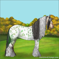 Horse Color:Gray Liver Red Dun Tobiano Leopard  and Gray Liver Red Dun Tobiano Near Leopard 