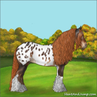 Horse Color:Gray Liver Chestnut Tobiano Blanket 