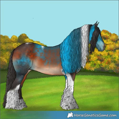 Horse Color:Bay Tobiano 