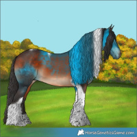 Horse Color:Bay Tobiano 