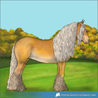 Horse Color:Palomino 