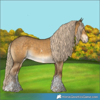 Horse Color:Chocolate Palomino Dun Sabino Brindle 