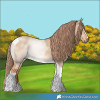 Horse Color:Red Dun Tobiano Rabicano 