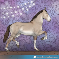 Horse Color:Liver Red Dun 