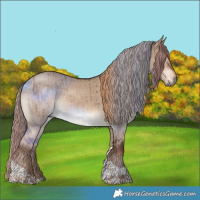 Horse Color:Liver Red Dun Tobiano Brindle 