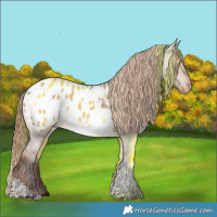 Horse Color:Liver Red Dun Tobiano Appaloosa Rabicano Brindle 