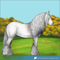 Horse Color:Gray Brown Dun Sabino