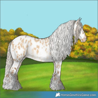Horse Color:Chocolate Palomino Dun Tobiano Blanket Rabicano  and Chocolate Palomino Dun Tobiano Near Leopard 