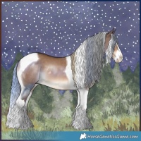 Horse Color:Liver Red Dun Splash Tobiano 
