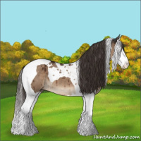 Horse Color:Liver Red Dun Splash Tobiano Brindle 