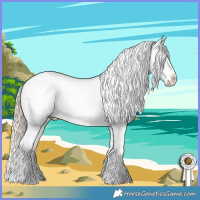 Horse Color:White Spotted Chocolate Palomino Dun Splash Tobiano Appaloosa Brindle  and White Spotted Cremello Dun Splash Tobiano Appaloosa 