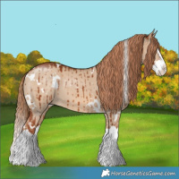 Horse Color:White Spotted Red Dun Splash Brindle 