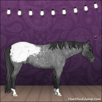 Horse Color:Blue Roan Snowcap 