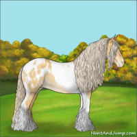 Horse Color:Gold Cream Champagne Dun Tobiano Blanket Brindle 
