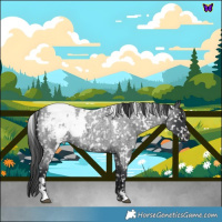 Horse Color:White Spotted Blue Roan Snowflake Varnish