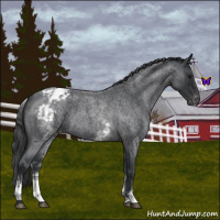 Horse Color:White Spotted Blue Roan Varnish 