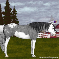 Horse Color:Blue Roan Splash Snowflake Varnish 