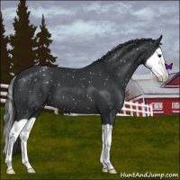 Horse Color:Black Splash Snowflake Varnish 