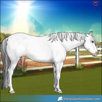 Horse Color:White Spotted Blue Roan Blanket 