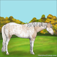 Horse Color:Chocolate Palomino Pearl Tobiano Frame and Chocolate Palomino Pearl Tobiano Frame