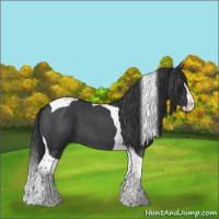 Horse Color:Blue Roan Splash Tobiano 