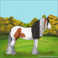 Horse Color:Bay Splash Tobiano 