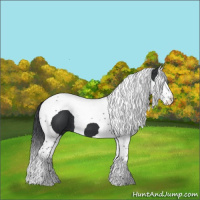 Horse Color:Black Splash Tobiano 