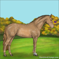 Horse Color:Chestnut Snowflake Varnish Rabicano 