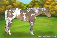 Horse Color:White Spotted Silver Smoky Black