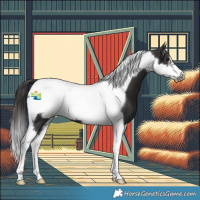 Horse Color:Smoky Black Tobiano Frame 