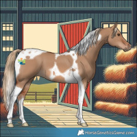 Horse Color:Red Dun Tobiano 