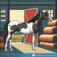 Horse Color:Black Tobiano Frame 