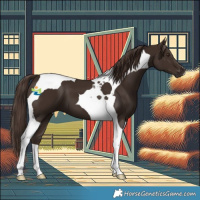Horse Color:Liver Chestnut Tobiano 