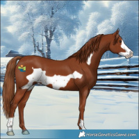 Horse Color:Chestnut Frame 