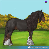 Horse Color:Liver Chestnut Tobiano 