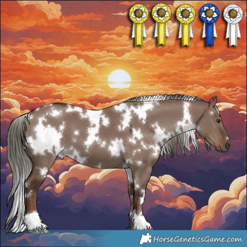 Horse Color:White Spotted Liver Red Dun Mushroom 