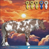 Horse Color:White Spotted Liver Red Dun Mushroom 