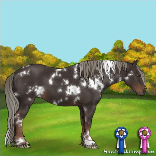 Horse Color:White Spotted Liver Chestnut Mushroom 