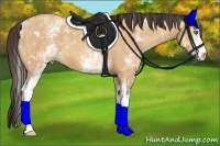 Horse Color:White Spotted Amber Champagne 