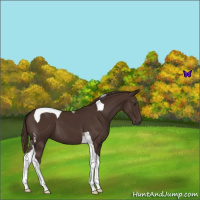 Horse Color:Liver Chestnut Tobiano 