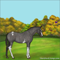 Horse Color:White Spotted Liver Red Roan Varnish 