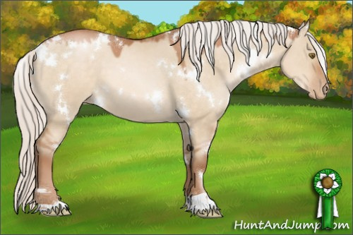 Horse Color:White Spotted Silver Brown Pearl Dun 
