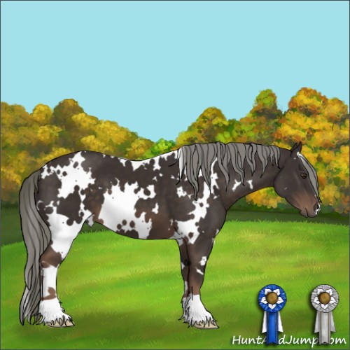 Horse Color:White Spotted Liver Chestnut Mushroom 
